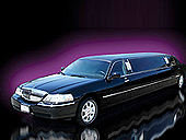limo rentals denver